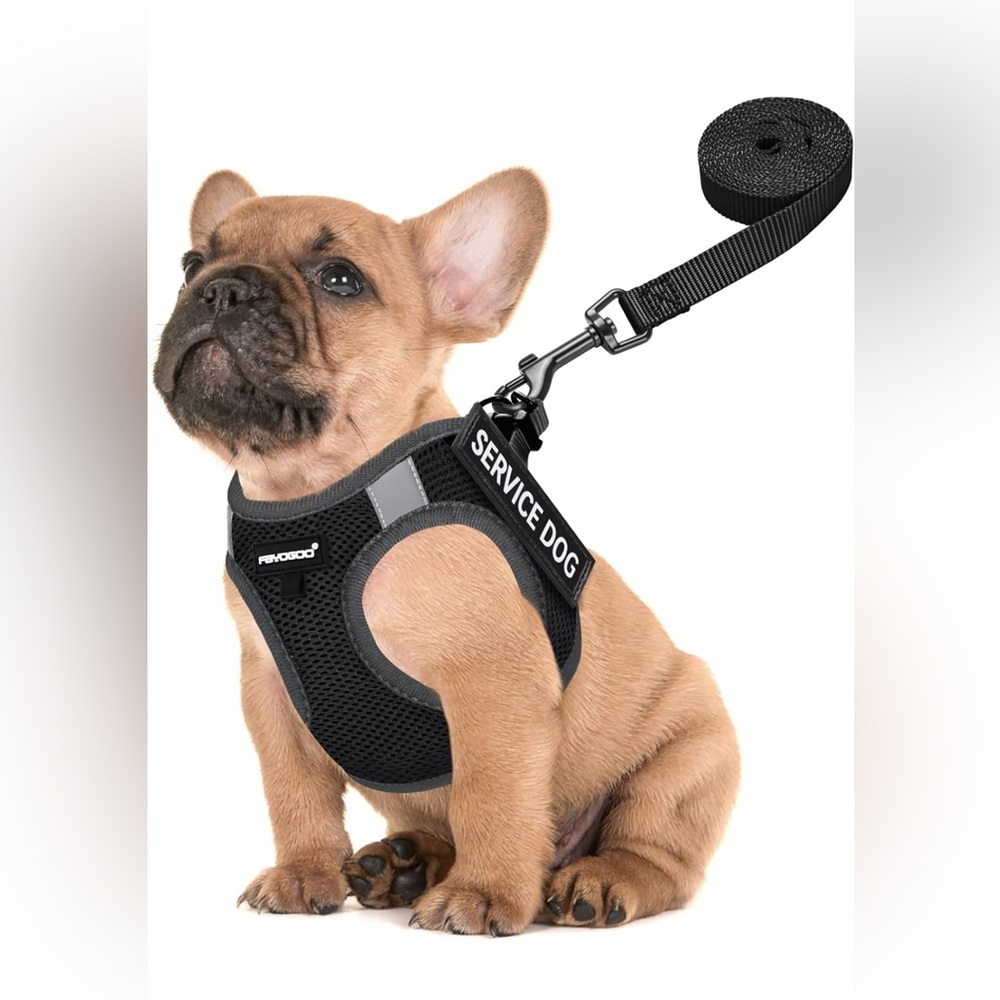 Service Dog Vest for Small and Medium Breed - Lightweight Dog Harness
